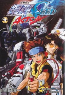 Mobile Suit Gundam Seed MSV Astray