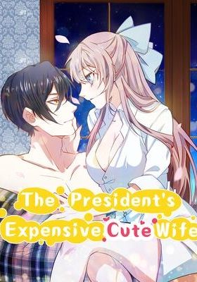 The President's Expensive, Cute Wife